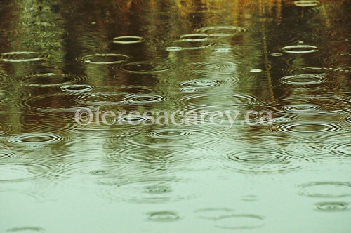 Rain Drops on Water